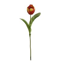 Tulipan, orange 52cm